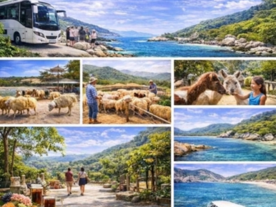 🌴«Райский остров DoiDep» — 80$ (Копировать)