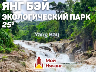 🌿Экологический парк Янг Бэй
