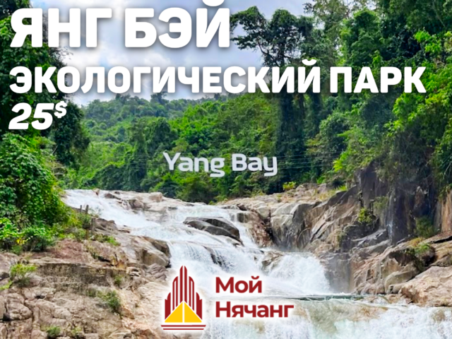 🌿Экологический парк Янг Бэй