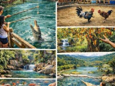 🌿Экологический парк Янг Бэй